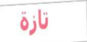 (figurative mark) trademark logo