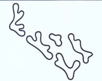 Sean trademark logo