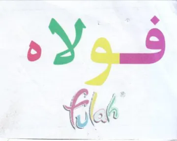 Yous trademark logo