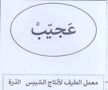 معمل الطيف لأنتاج الشيبس trademark logo