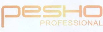 ae PROFESSIONAL trademark logo