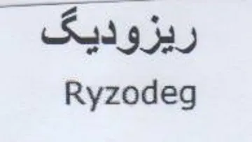 Ryzodeg ريزوديق trademark logo