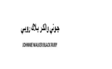 th Ay gis ناا سر trademark logo