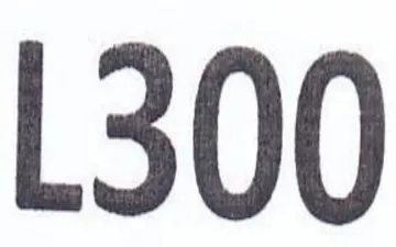 L300 trademark logo