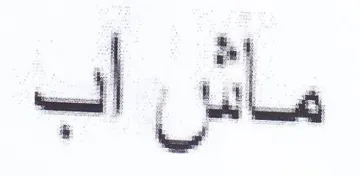 ماش اب trademark logo