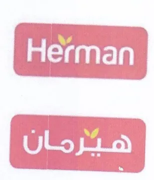 ae ted اديه trademark logo