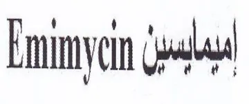 Emini trademark logo