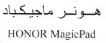 SS platypus HONOR MagicPad trademark logo