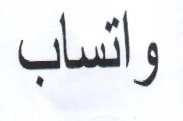 وائساب trademark logo