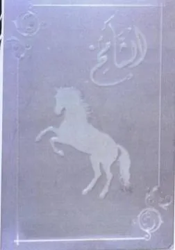 ee mae eee nS i طن trademark logo