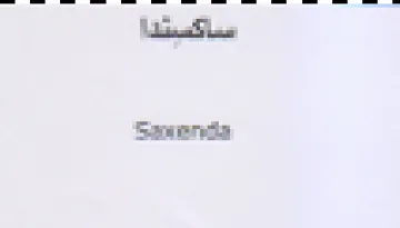 Lia Lon Sw recy trademark logo