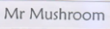 Mr Mushroom trademark logo