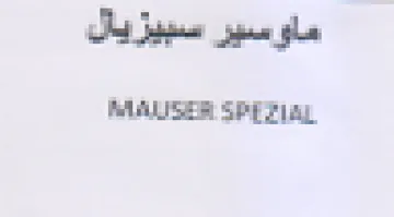 MASE SPE Pay ماوسير سبيزيال trademark logo