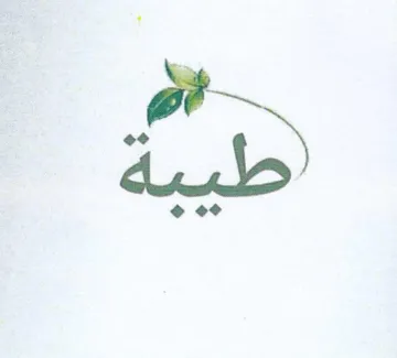 i o o trademark logo