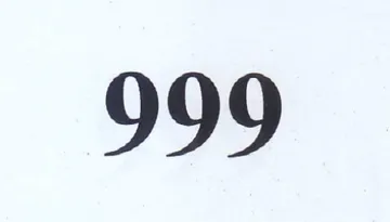 999 trademark logo