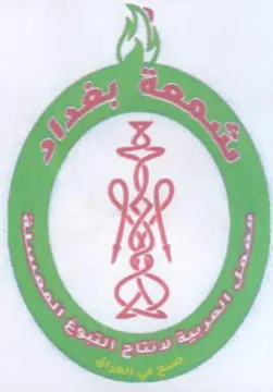 (i) 5 ‏و‎ trademark logo