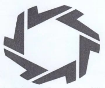 LS TT trademark logo