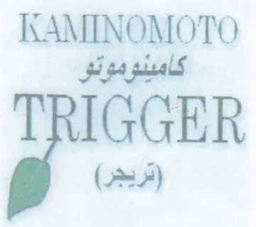 KAMINOMOTO كامينوموتو trademark logo