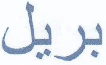 بريل trademark logo
