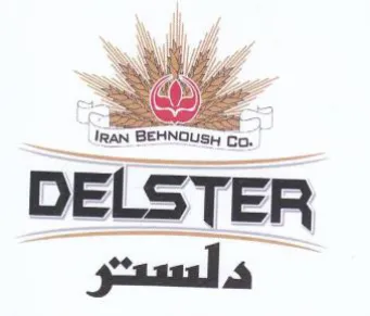 DELSTER asus trademark logo