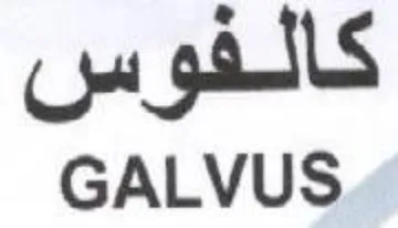 GALVUS كالفوس