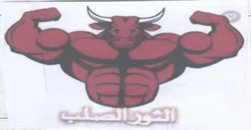 (figurative mark) trademark logo