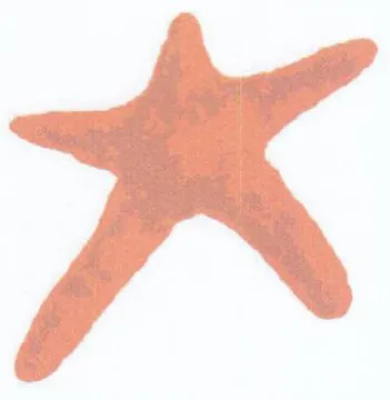 i 0 3 x 2 4 ke ال ا trademark logo