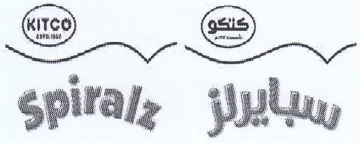 Spitalz Puy trademark logo