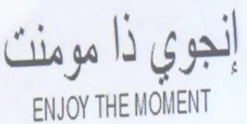 ENJOY THE MOMENT trademark logo