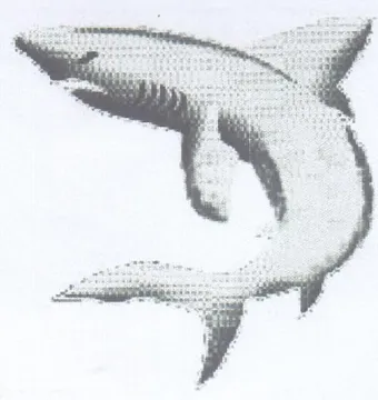 WS 79 trademark logo