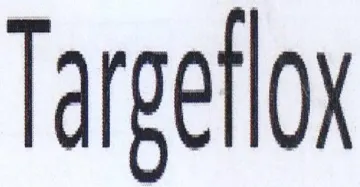 Targetlox trademark logo