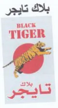 TIGER تايج trademark logo