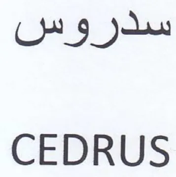 CEDRUS سدروس trademark logo