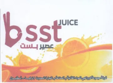 bsst trademark logo