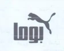 lng trademark logo