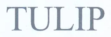 TULIP