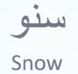 Snow دو trademark logo
