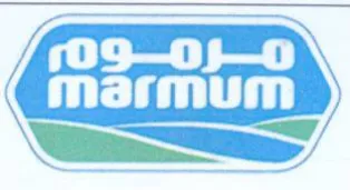 ext trademark logo