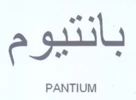 PANTIUM مم trademark logo