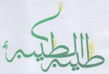 Sail. trademark logo