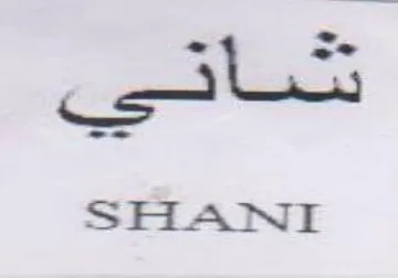 SHANI trademark logo