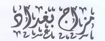 Ws ZN trademark logo