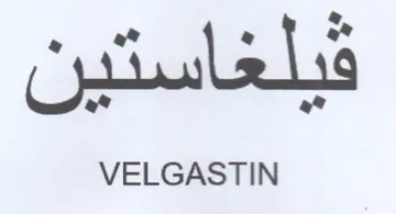 aS a a VELGASTIN trademark logo