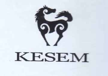KESEM trademark logo