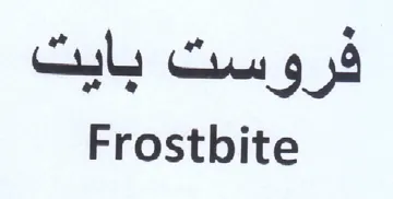 Frostbite فروست بايت trademark logo