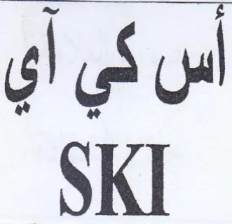 SKI trademark logo
