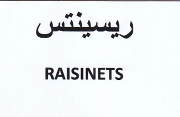 RAISINETS همهي راسينس trademark logo
