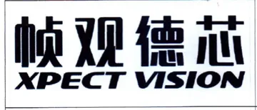 oe XE A ith XPECT VISION trademark logo