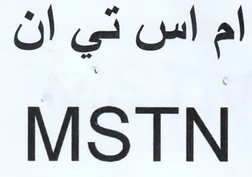 MSTN اس تي ان trademark logo