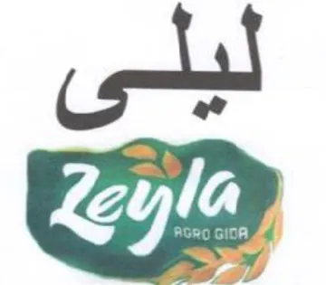 ليلى trademark logo